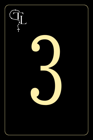 Módulo 3